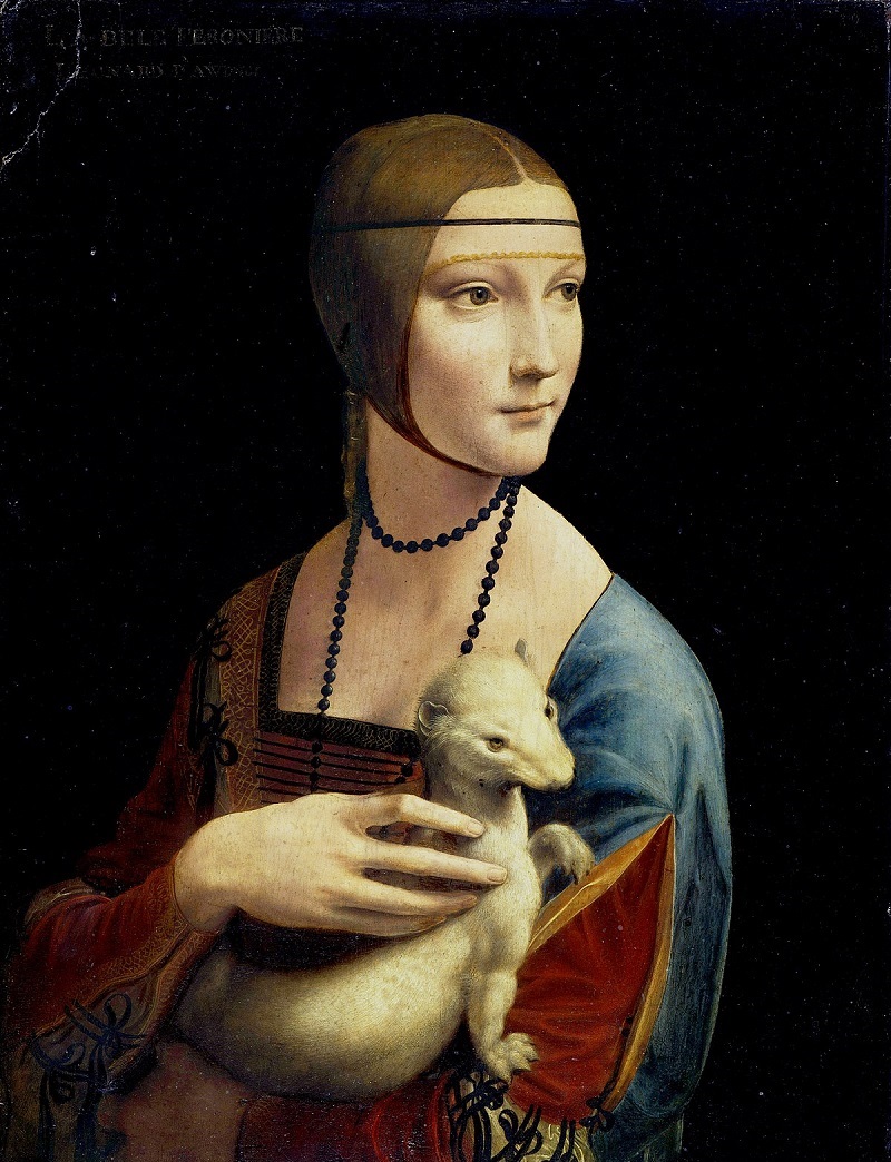 leonardo olmak, lady with an ermine