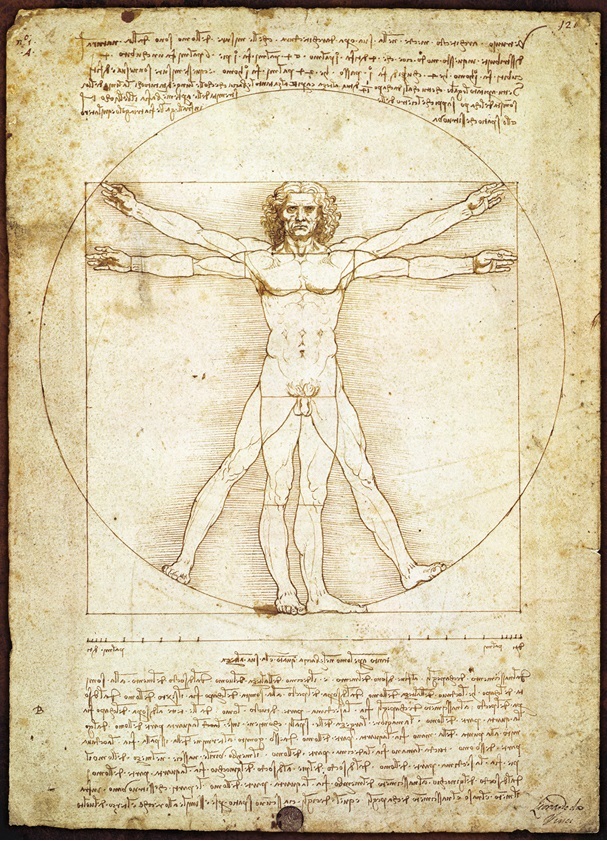 leonardo olmak, vitruvian man