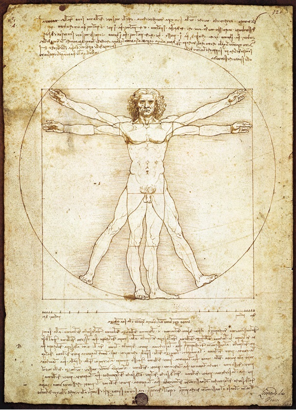 leonardo olmak, vitruvian man